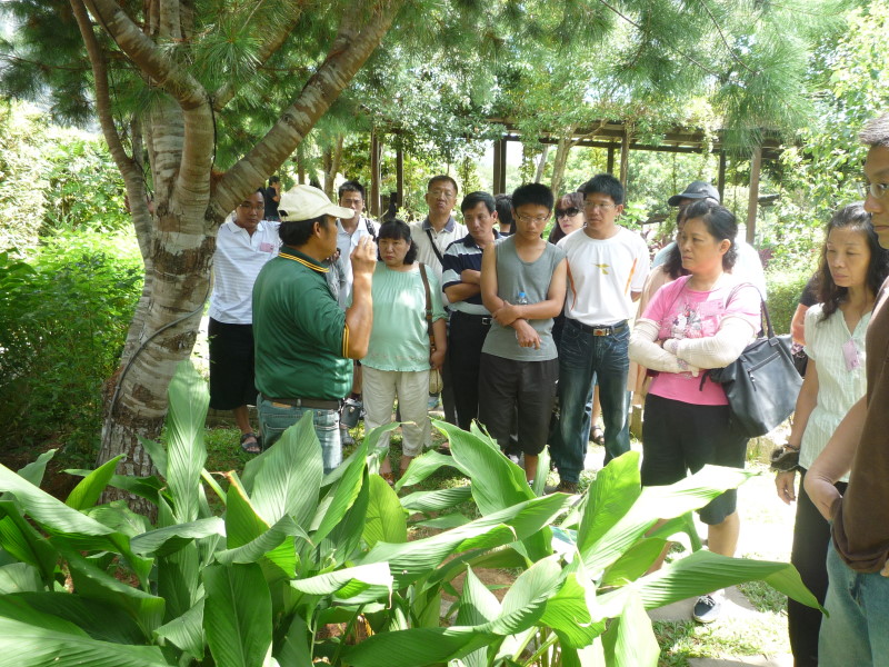 顯示原圖大小